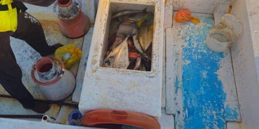 حملات تفتيشية مكثفة لحماية البيئة البحرية بمحافظة رابغ - الكويت الاخباري