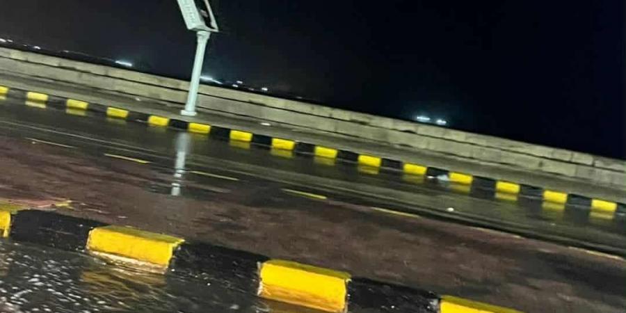 رعد وبرق وثلوج.. رفع حالة الاستعداد بجميع أجهزة  الإسكندرية - الكويت الاخباري