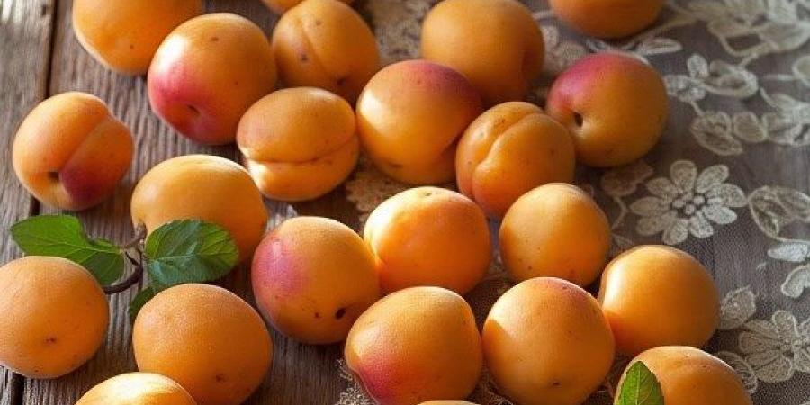 ماذا يحدث للجسم عند تناول المشمش؟ - الكويت الاخباري