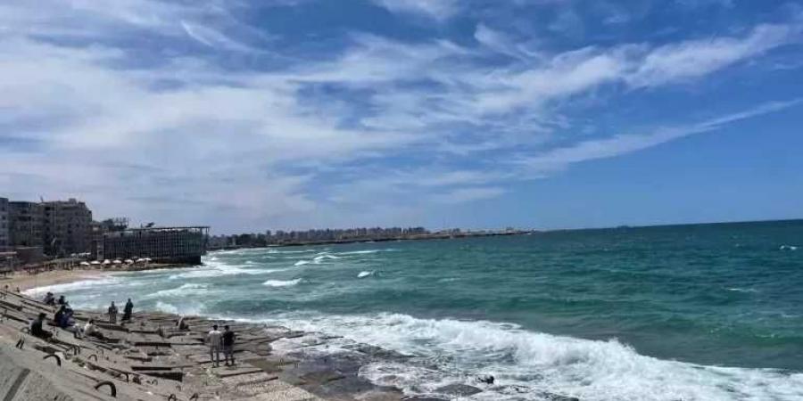 استقرار الأحوال الجوية بالإسكندرية بعد عاصفة ترابية قوية - الكويت الاخباري