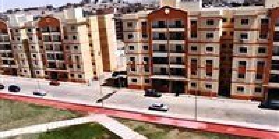 فتح باب الترخيص لـ10 سيارات مينى فان حديثة للعمل بحى اللوتس بالعقاد - الكويت الاخباري