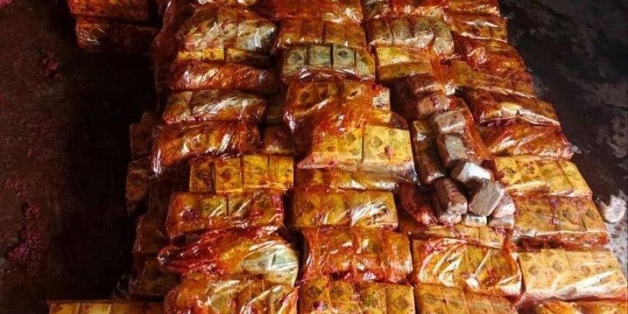 داخلية سوريا تعلن ضبط 800 كيلو من مادة الحشيش قبل تهريبها إلى أوروبا.. صور - الكويت الاخباري