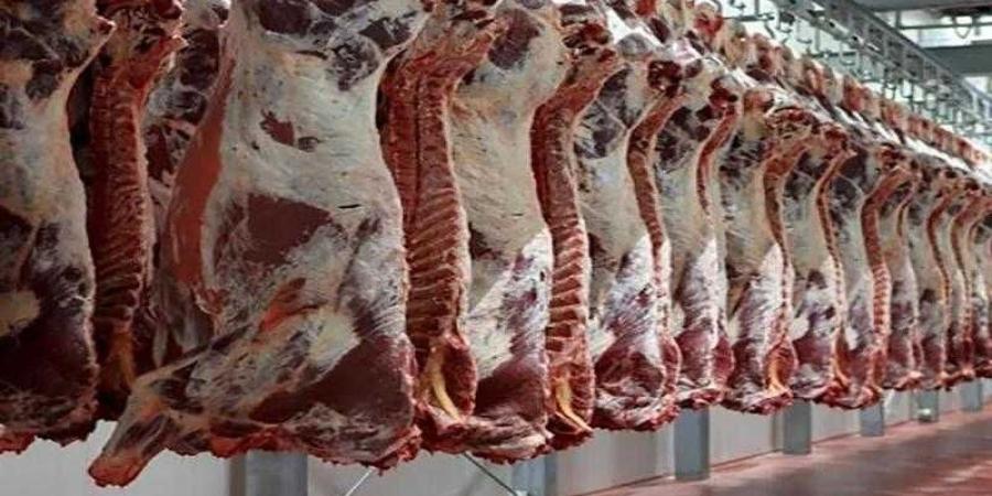أسعار اللحوم الحمراء اليوم الأحد - الكويت الاخباري
