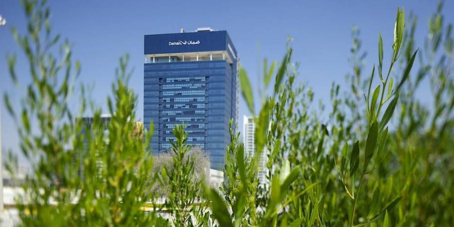 «ضمان» مزود خدمات التأمين على الممتلكات والمسؤوليات - الكويت الاخباري