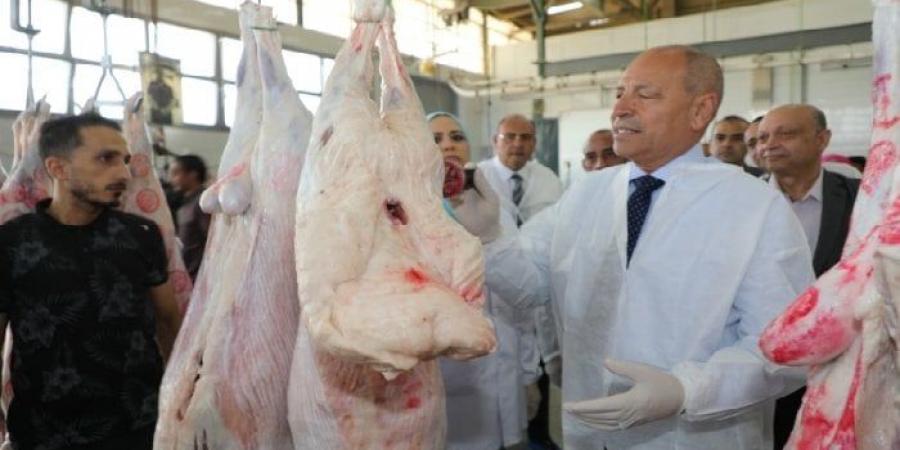 محافظ القاهرة يتفقد مجزر 15 مايو للاطمئنان على استعداداته لاستقبال عيد الأضحى - الكويت الاخباري