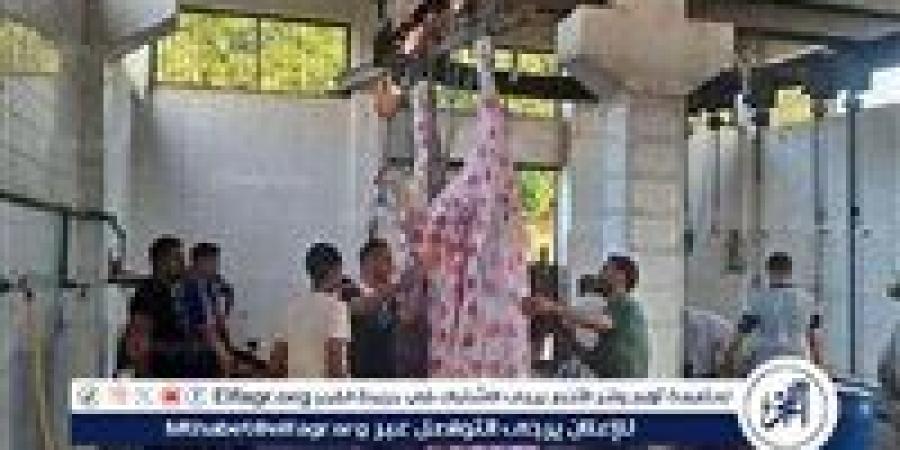 محافظة الجيزة تفتح المجازر مجانًا للمواطنين خلال عيد الأضحى.. تعرف على العناوين - الكويت الاخباري