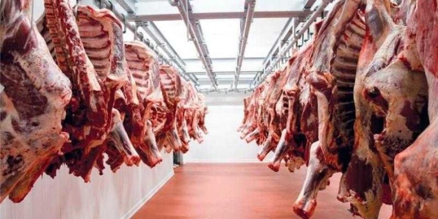 أسعار اللحوم الحمراء اليوم الخميس - الكويت الاخباري