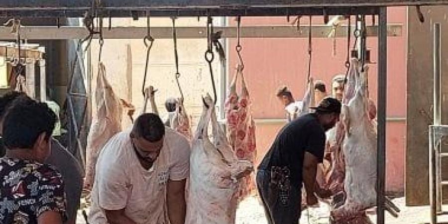 بعد منع ذبح الأضاحى.. مهن موسمية تغيب عن المغرب فى عيد الأضحى - الكويت الاخباري