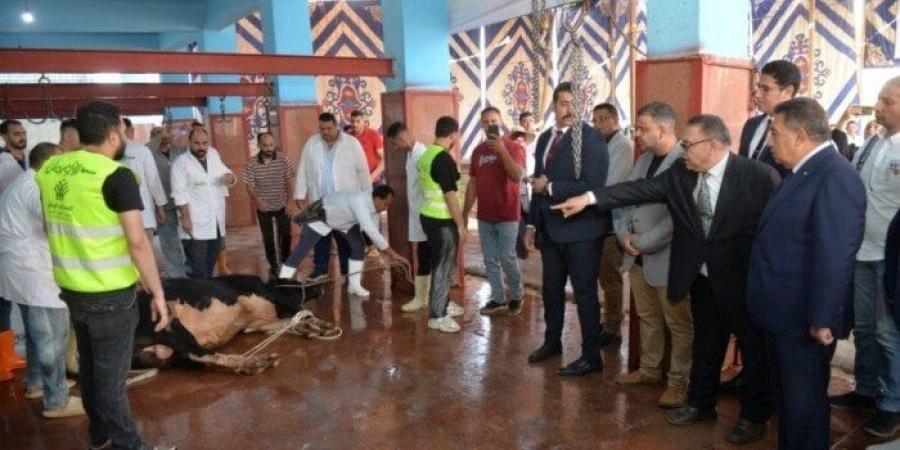 محافظ الدقهلية يشهد ذبح الأضاحي بمجزر طنامل ويؤكد على سلامة اللحوم ووصولها للمستحقين - الكويت الاخباري