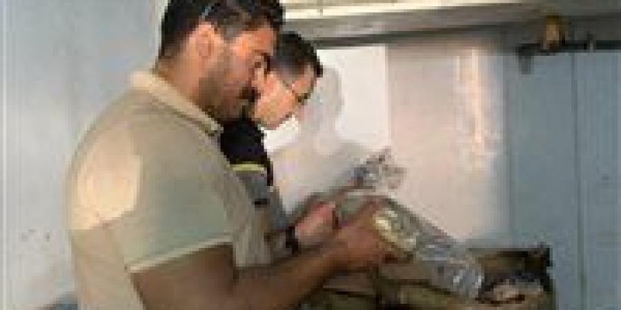ضبط طن ونصف لحوم فاسدة و20 ألف عبوة "شيبسي" منتهية الصلاحية بالغربية - الكويت الاخباري