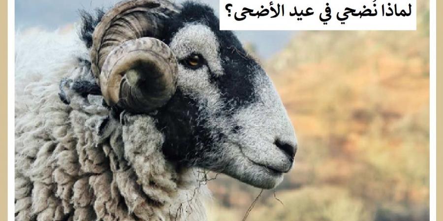 لماذا نُضحي في العيد ؟ تعرف على الحكمة من الاضحية #دا_الافتاء #دين_وحياة - الكويت الاخباري