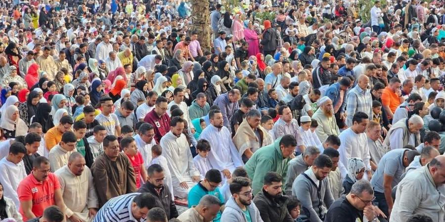 ماذا حدث في أول أيام عيد الأضحى؟ 4 قصص تتكرر في العيد الكبير - الكويت الاخباري