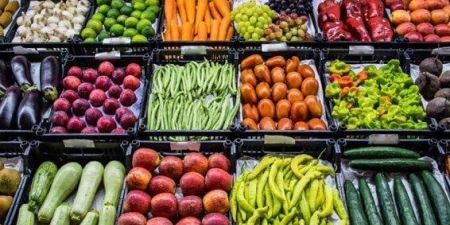 الطماطم بـ8.. أسعار الخضروات والفاكهة اليوم الجمعة 6 يونيو 2025 - الكويت الاخباري