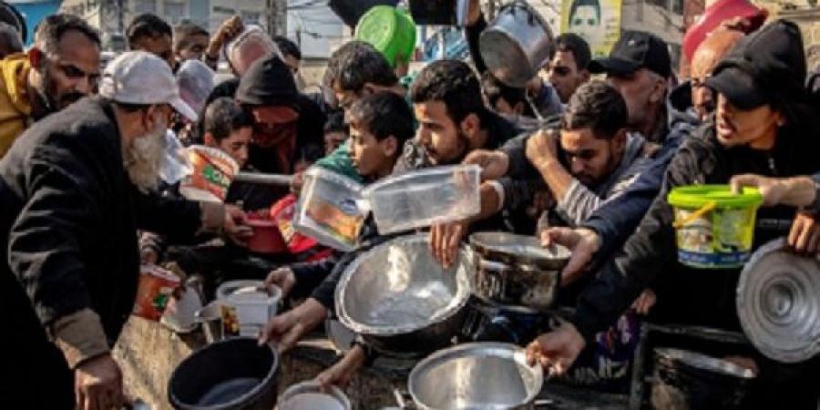 طبيبة أمريكية: ادعاء إسرائيل السماح بدخول المساعدات للقطاع غير صحيح - الكويت الاخباري