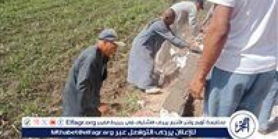 محلية نجع حمادي تواصل حملاتها لرصد مخالفات البناء ورفع الإشغالات خلال العيد - الكويت الاخباري