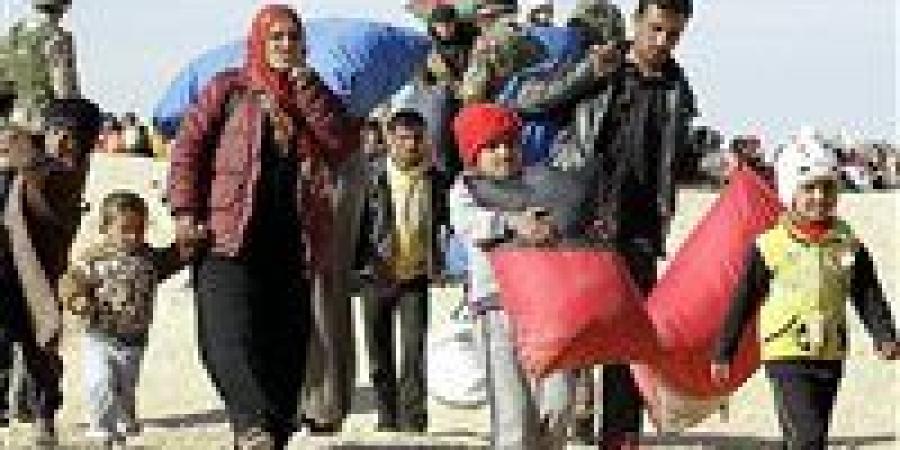 مقرر أممي معني بالحق في الغذاء: إسرائيل تستدرج الفلسطينيين للمساعدات في غزة ثم تقتلهم كالحيوانات - الكويت الاخباري