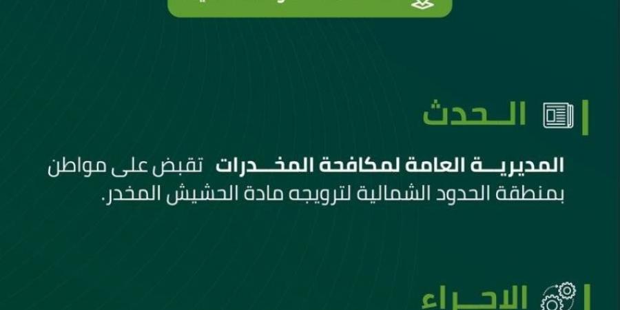 مخدرات الحدود الشمالية تقبض على مواطن لترويجه الحشيش المخدر - الكويت الاخباري