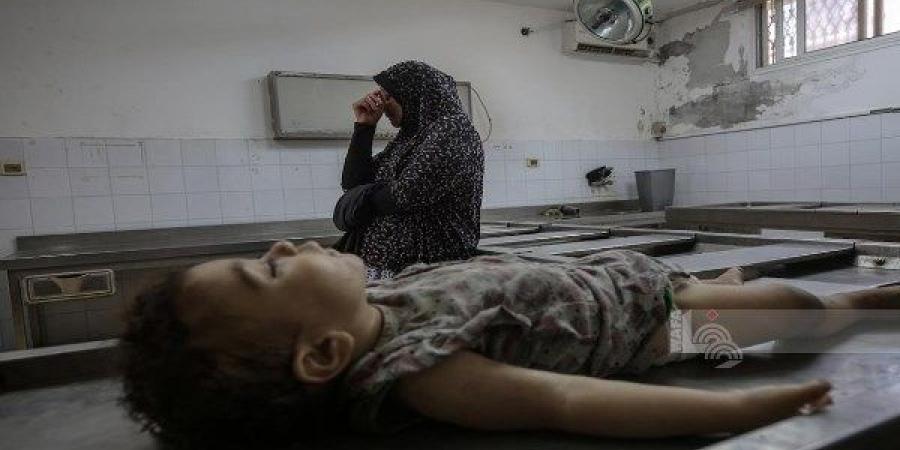 استشهاد 115 وإصابة 580 فلسطينيا خلال محاولتهم الحصول على الغذاء في غزة - الكويت الاخباري