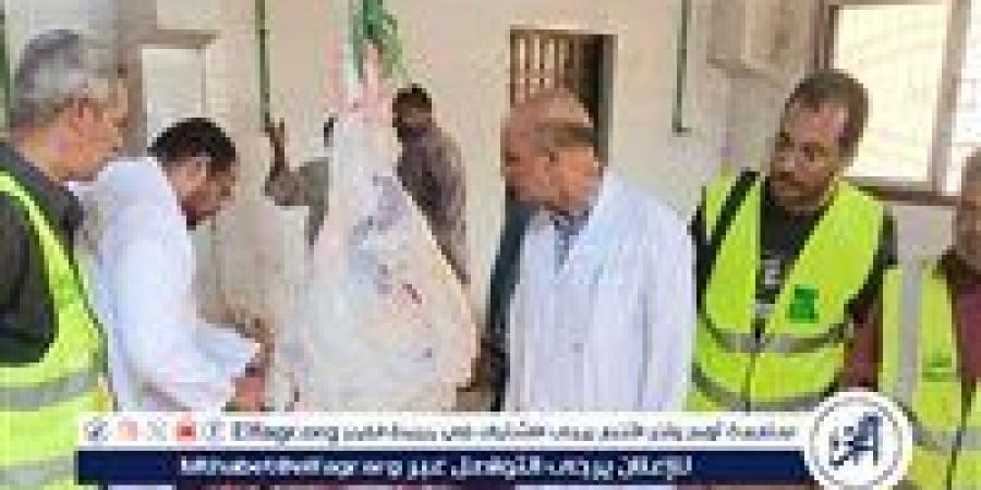 مدير "بيطري قنا" يتابع أعمال الذبح بمجازر الوقف خلال لعيد الأضحى - الكويت الاخباري