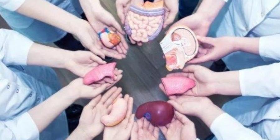 لماذا يحظر تبرع الأطفال بالأعضاء؟ القانون يجيب - الكويت الاخباري