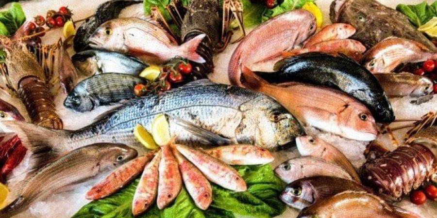 أسعار الأسماك اليوم الأحد 8 يونيو ثالث أيام عيد الأضحى - الكويت الاخباري