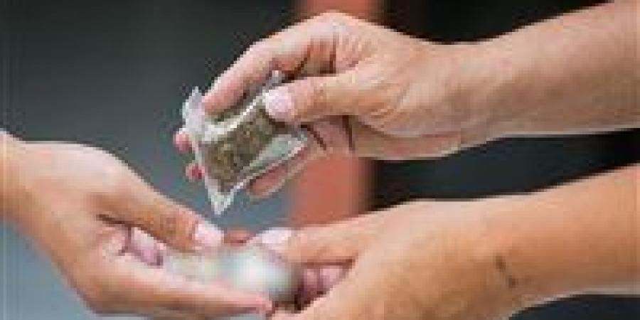 بيع كوكتيل مخدرات في العيد.. سقوط إمبراطور الكيف بشوارع السلام - الكويت الاخباري