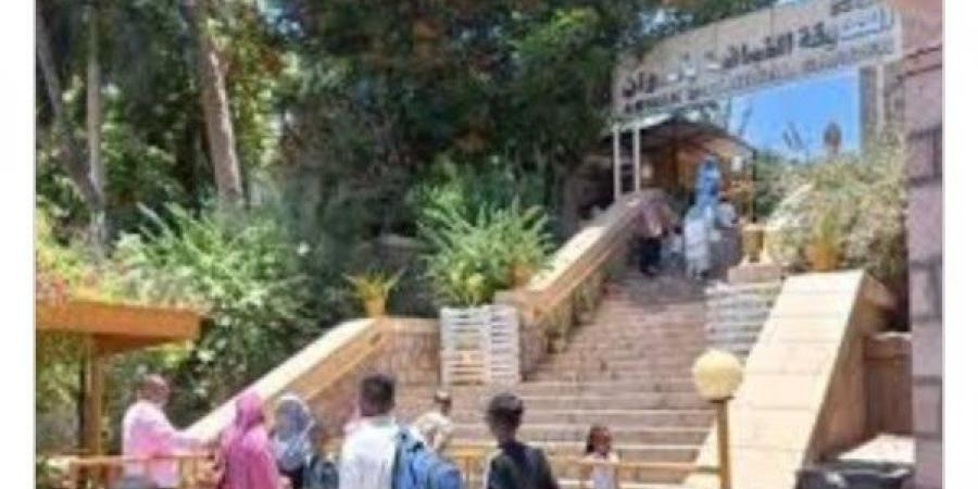 أخبار أسوان: رفع للإشغالات وتوافد بالحديقة النباتية وتوزيع لحوم الأضاحي.. والصوامع والشون تستقبل 543 ألفًا و207 أطنان قمح محلي - الكويت الاخباري