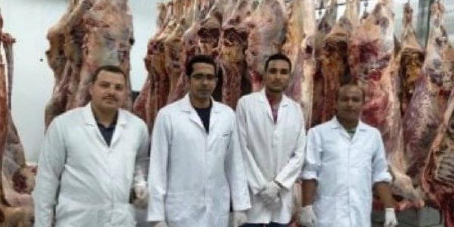 أخبار الوادي الجديد: الانتهاء من ذبــ..ـح 875 رأسًا ضمن مشروع صكوك الأضاحي.. وتفحم سيارة محملة بالدريس - الكويت الاخباري