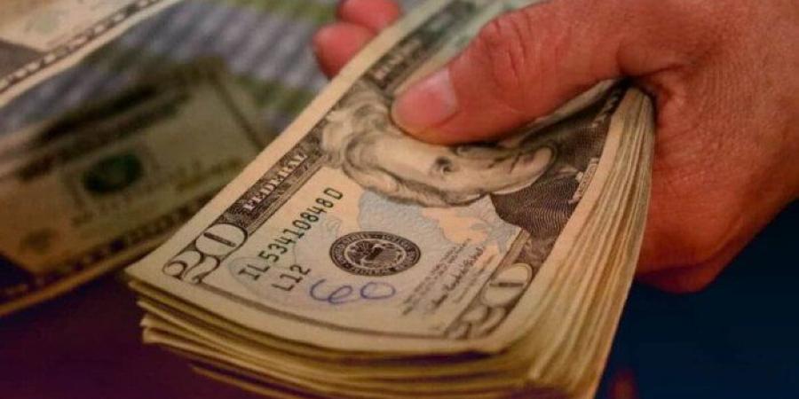 الأخضر بكام؟.. سعر الدولار الآن في مصر - الكويت الاخباري