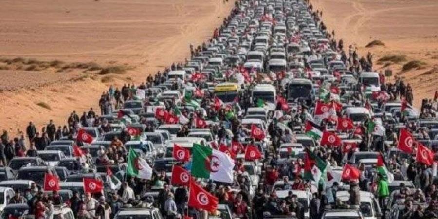 رضا فرحات: قافلة الصمود هدفها تشويه الدور المصري ونعلم من وراؤها - الكويت الاخباري
