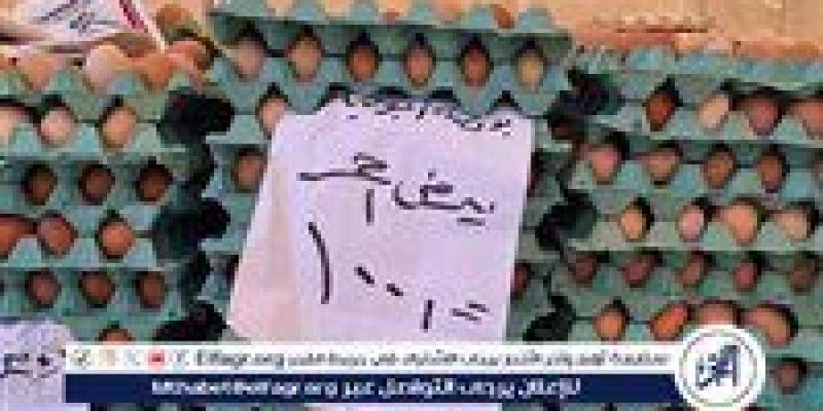 محافظ الدقهلية: استمرار انطلاق أسواق اليوم الواحد الجمعة والسبت كل أسبوع - الكويت الاخباري
