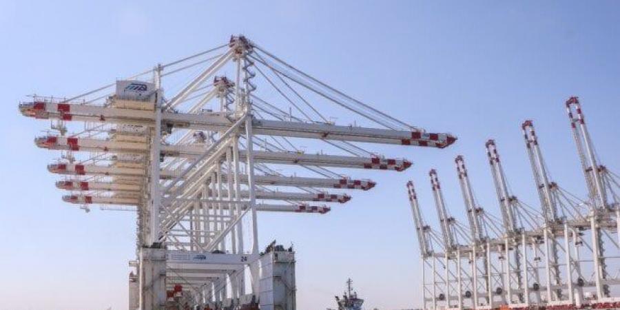 ميناء دمياط يستقبل 5 أوناش رصيف عملاقة مخصصة لمحطة «تحيا مصر 1» - الكويت الاخباري