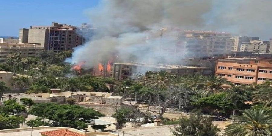حريق هائل يلتهم أشجارًا بشارع بيانكي غرب الإسكندرية دون إصابات - الكويت الاخباري