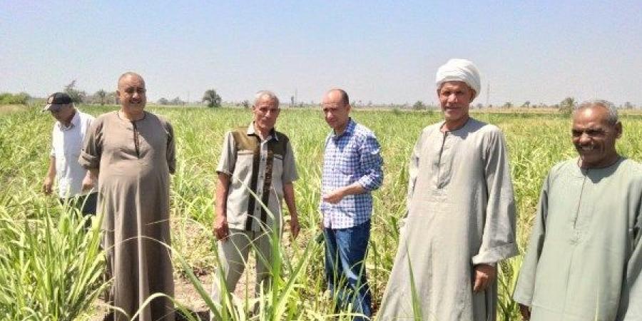 الزراعة تعزز جهود الدعم الفني والإرشادي لمنتفعي وادي الصعايدة في أسوان - الكويت الاخباري