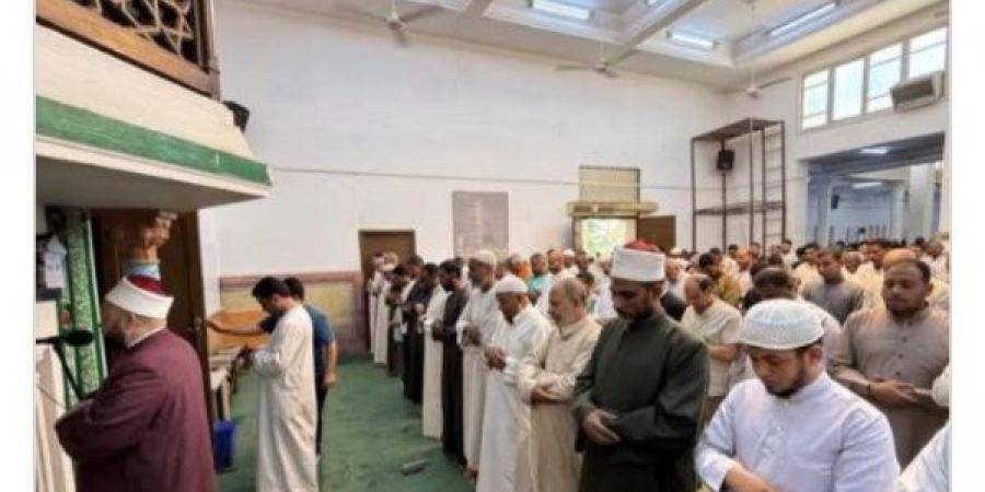 أخبار أسوان | إزالة للتعديات وتكثيف النظافة والتشجير.. وأول خطبة جمعة لـ يسرى عزام - الكويت الاخباري