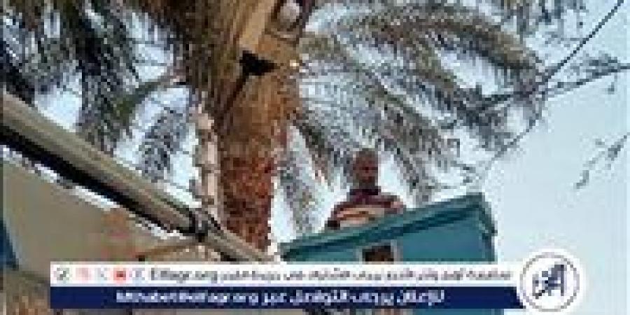 تركيب كشافات جديدة بقرية دوينة بمركز أبوتيج فى أسيوط - الكويت الاخباري