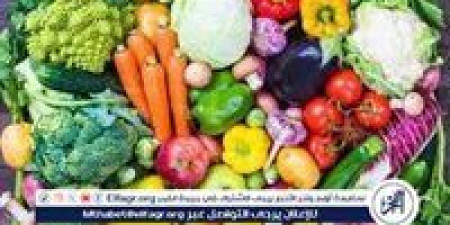 أسعار الخضروات اليوم السبت 14-6-2025 في الدقهلية - الكويت الاخباري