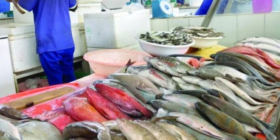 20 % ارتفاع في أسعار الأسماك لزيادة الطلب - الكويت الاخباري