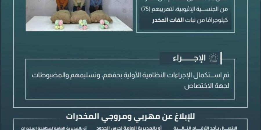 حرس الحدود بعسير يقبض على 3 مخالفين لنظام أمن الحدود لتهريبهم 75 كيلوجرامًا من نبات القات المخدر - الكويت الاخباري