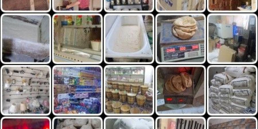 تحرير 370 محضرا ومخالفة تموينية خلال حملات مكثفة بالقليوبية - الكويت الاخباري