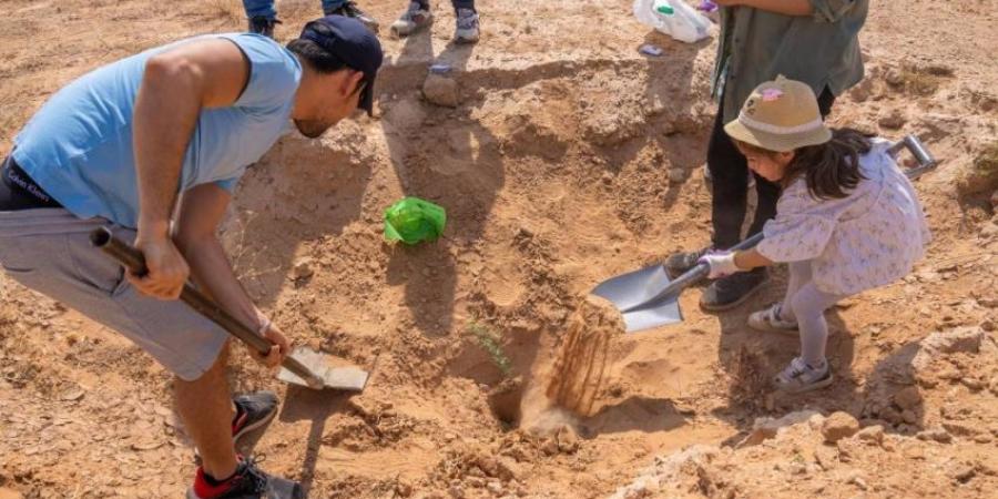 40 مبادرة لزراعة 31 مليون شجرة بالشرقية - الكويت الاخباري