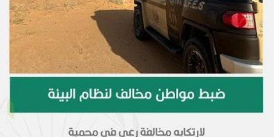 الأمن البيئي يضبط مواطنًا مخالفًا لارتكابه مخالفة رعي في محمية الإمام عبدالعزيز - الكويت الاخباري