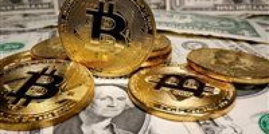 ضبط قضايا اتجار غير المشروع بالنقد الأجنبى بقيمة 5 مليون جنيه - الكويت الاخباري