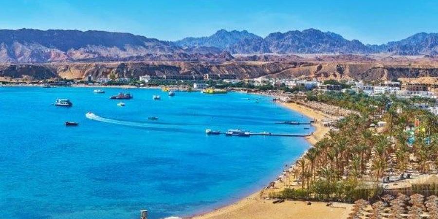 مستثمرو مرسى علم تدعو لزيادة توفير الطاقة الكهربائية لتغطية الزيادة المرتقبة في الغرف الفندقية - الكويت الاخباري