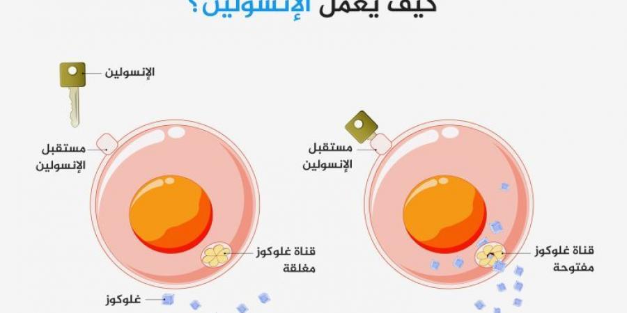 كم كيلوغراما يحتاج الشخص أن يفقد حتى يتخلص من مقاومة الإنسولين؟ - الكويت الاخباري