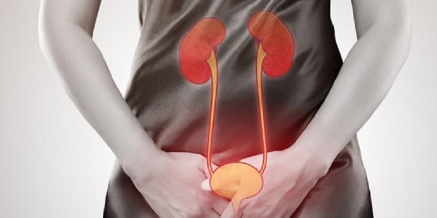 المضاد الخطأ والتشخيص المضلل أبرز أسباب فشل علاج التهاب المثانة - الكويت الاخباري