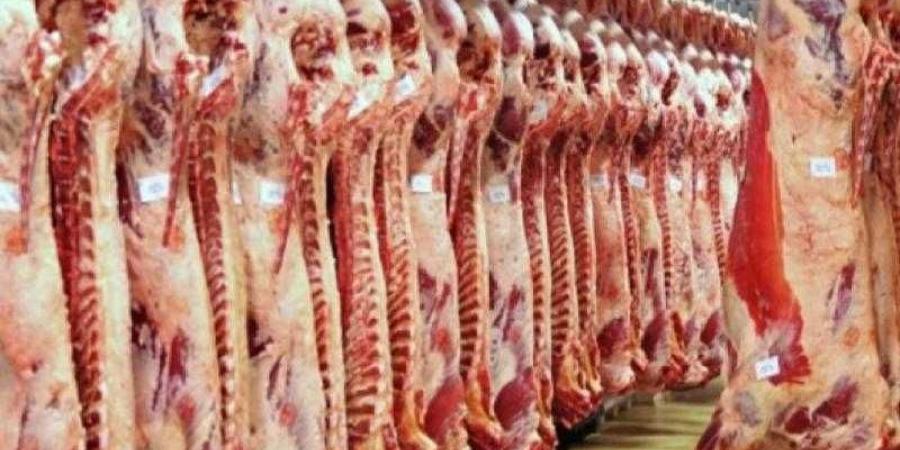 أسعار اللحوم الحمراء اليوم الجمعة - الكويت الاخباري