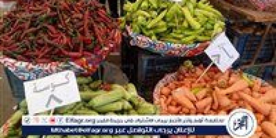 محافظ الدقهلية: استمرار انطلاق أسواق اليوم الواحد الجمعة والسبت كل أسبوع - الكويت الاخباري