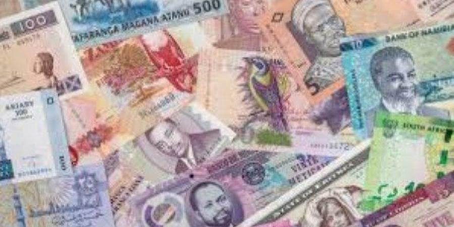 جهود أفريقية لإقامة مدفوعات بالعملات المحلية تصطدم بهيمنة الدولار وضغوط ترامب - الكويت الاخباري