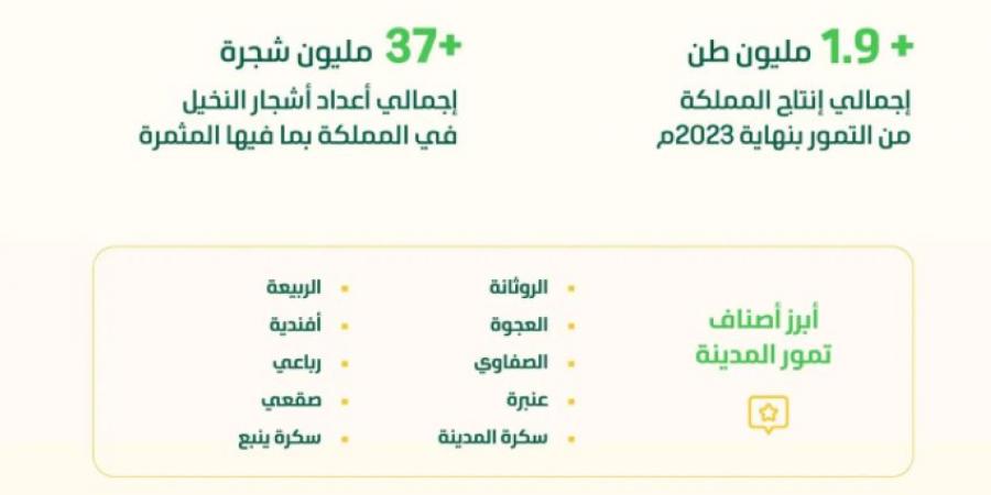 بواكير تمور المدينة المنورة تُنعش أسواق المملكة بأكثر من 58 صنفًا مع انطلاق موسم الحصاد - الكويت الاخباري